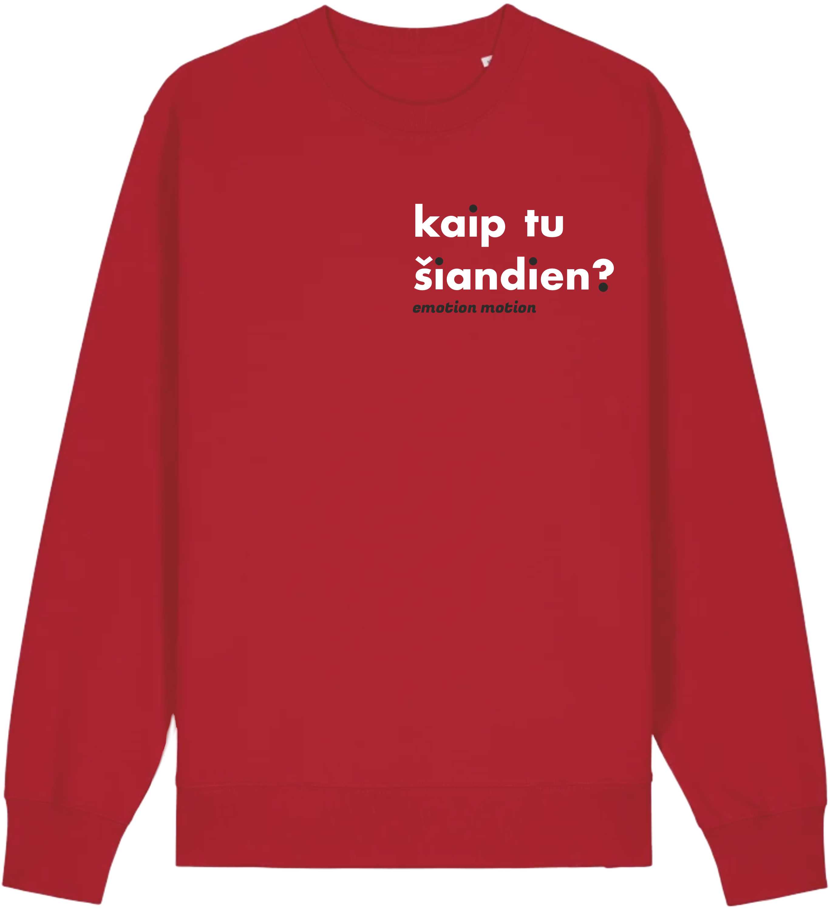 Džemperis "kaip tu šiandien?"