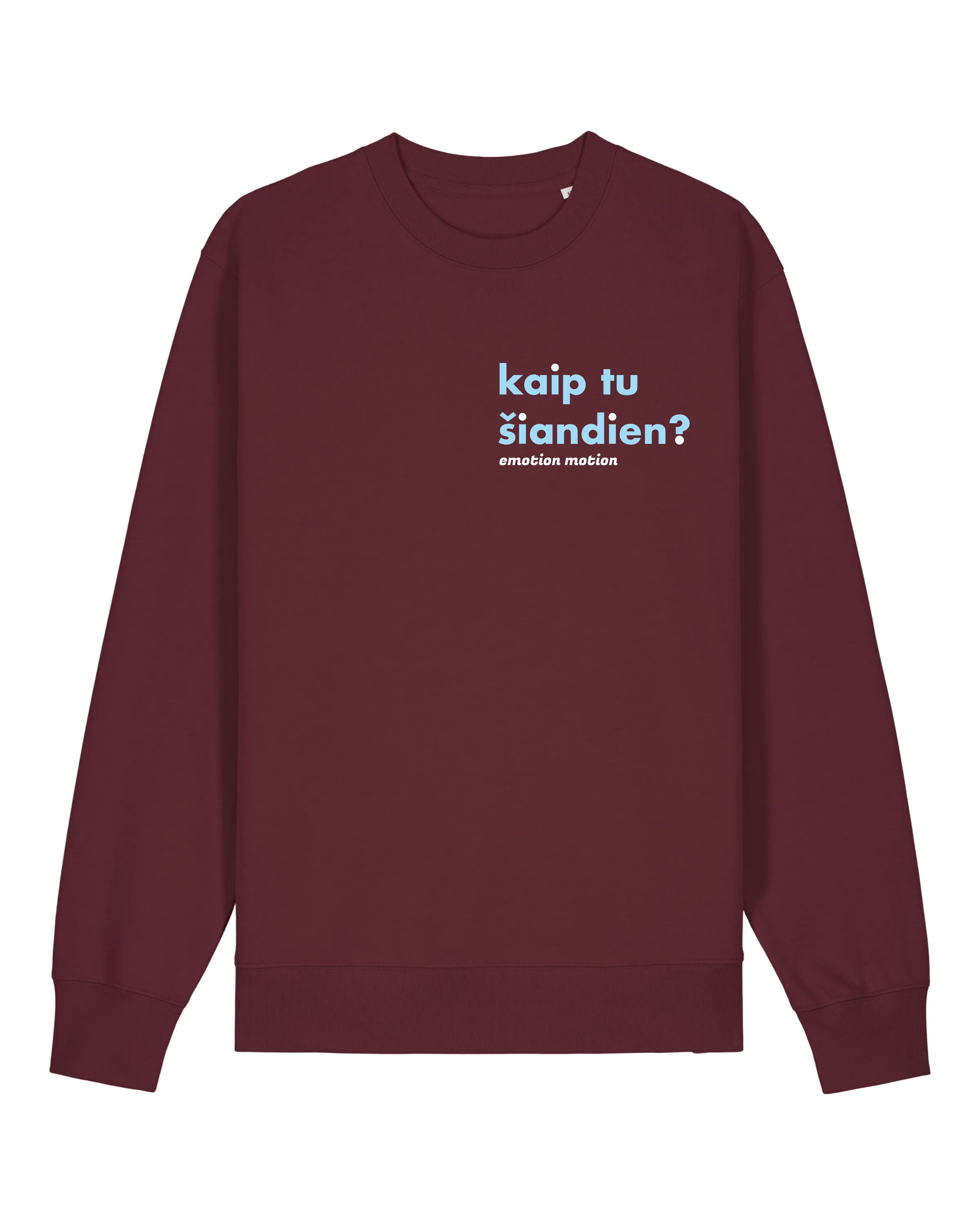 Džemperis "kaip tu šiandien?"